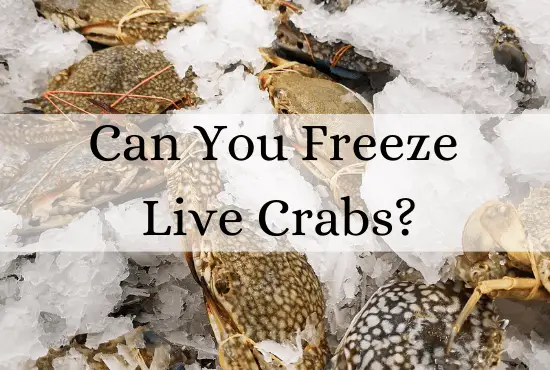 Can You Freeze Live Crabs