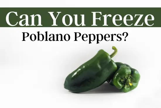 Can You Freeze Poblano Peppers