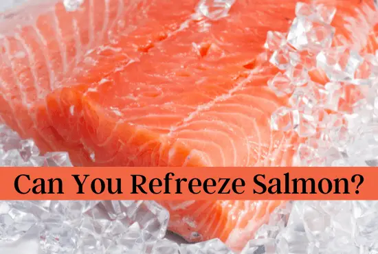 Can You Refreeze Salmon