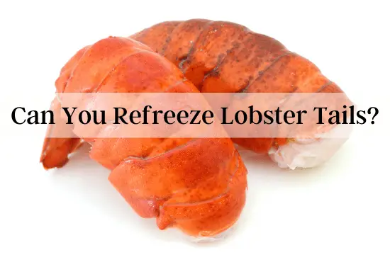 Can You Refreeze Lobster Tails
