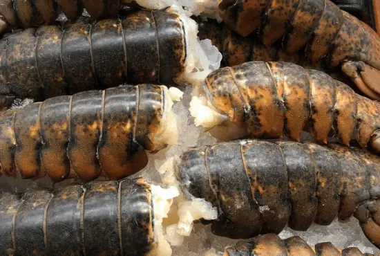 How To Refreeze Lobster Tails