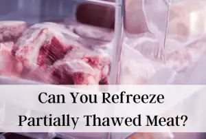 Can You Refreeze Partially Thawed Meat Is It Safe   Can You Refreeze Partially Thawed Meat 300x202 