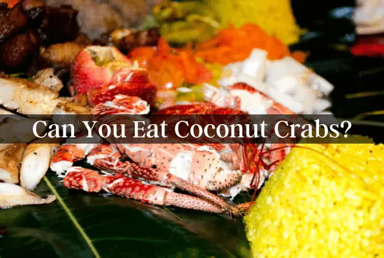 Can You Eat Coconut Crabs