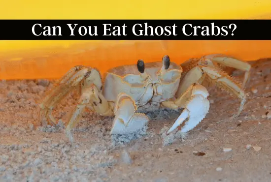Can You Eat Ghost Crabs