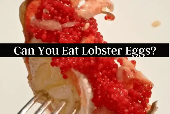 Can You Eat Lobster Eggs