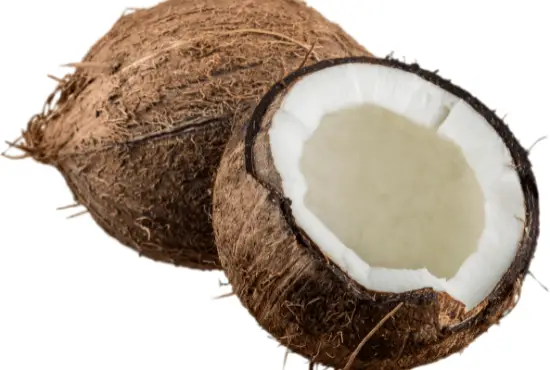 Can You Juice Coconut