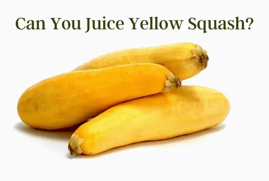 Can You Juice Yellow Squash