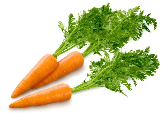Can You Juice Carrot Greens