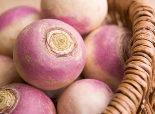 Can You Juice Turnips